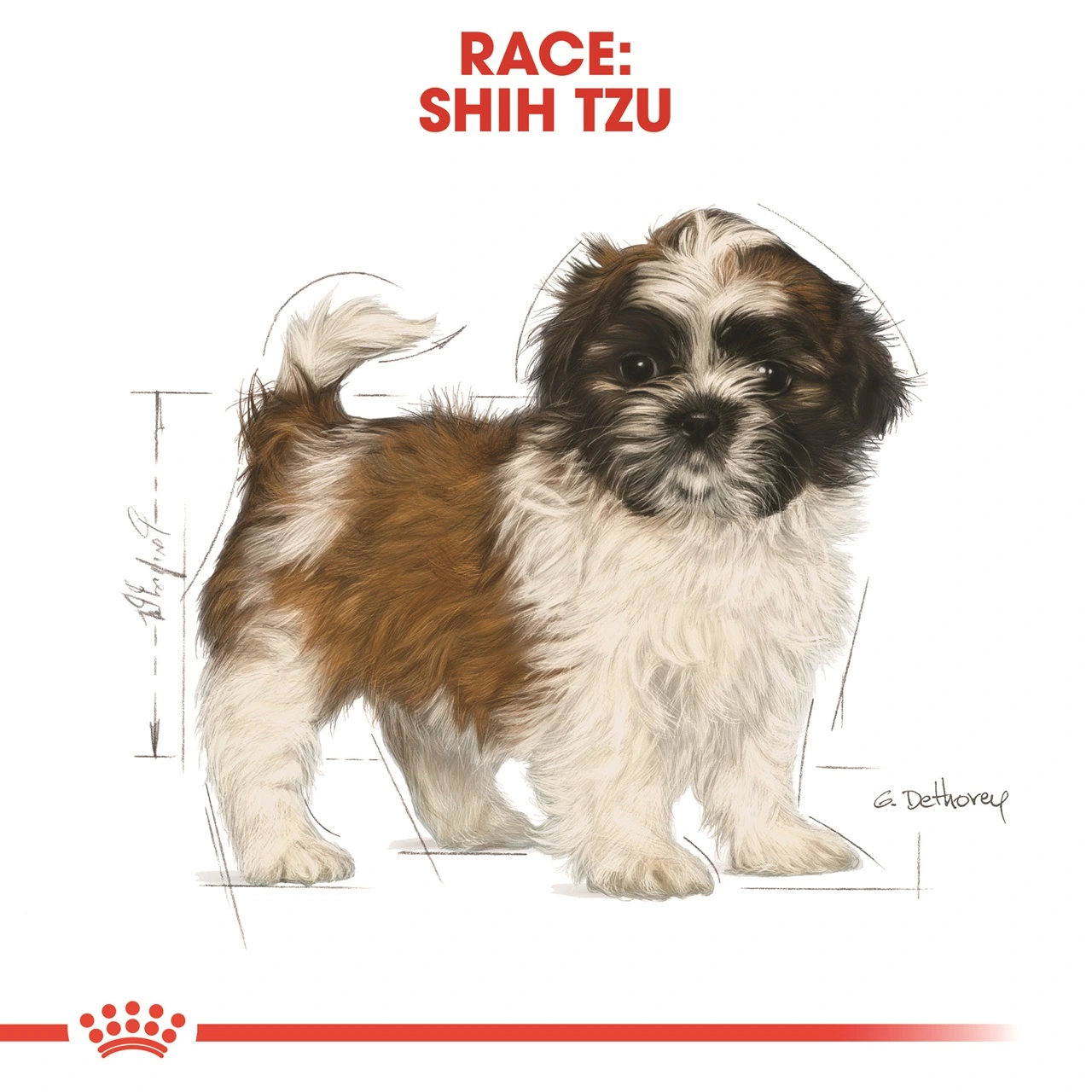 Royal Canin Shih Tzu Puppy 1,5 kg - tørfoder til hvalpe